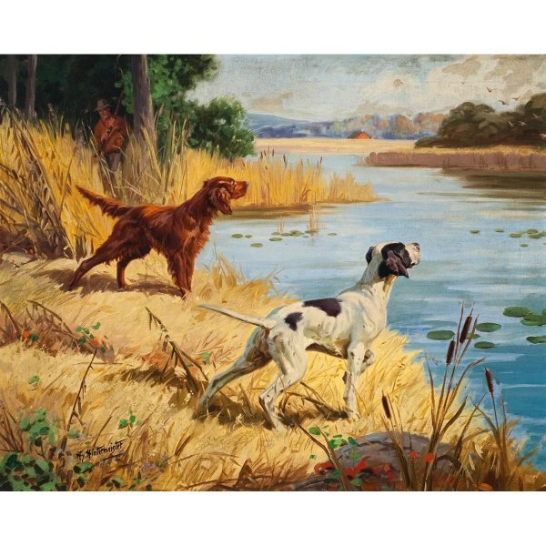 Художник э Пойнтер