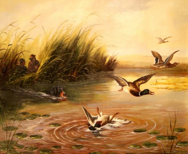 Художник Бруно Августо Жавино птицы