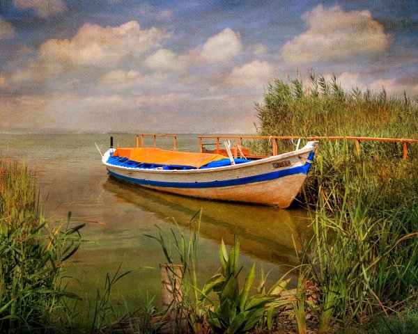 Лодки живопись