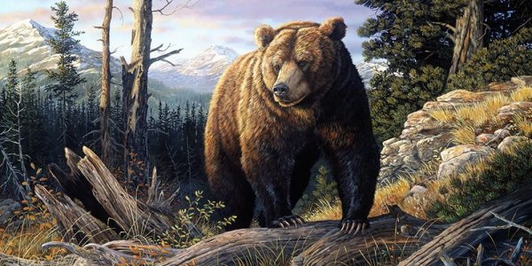 Художник-анималист Терри Даути (Terry