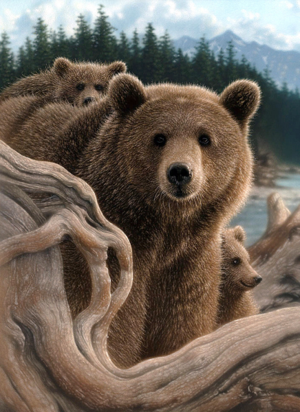 Американский художник Коллин Богл