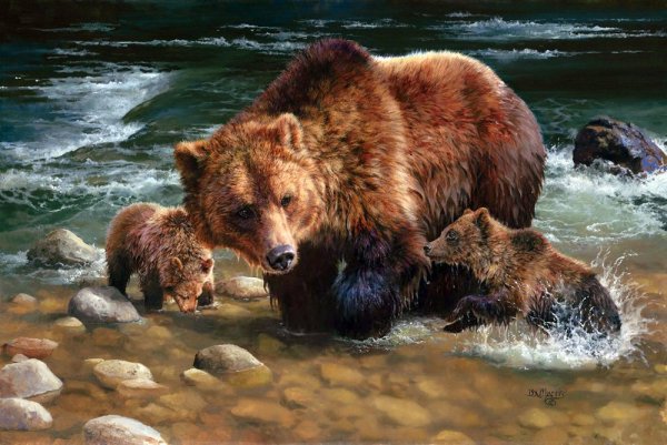 Художник-анималист Бонни Марис