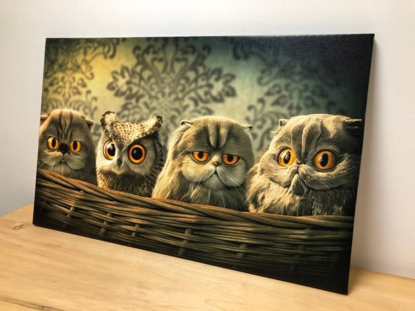 Осенний лес Озон Фрея