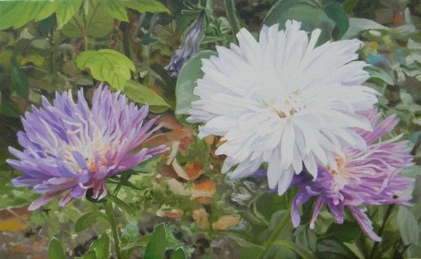 Aster художник