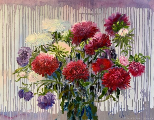 Красные и белые астры