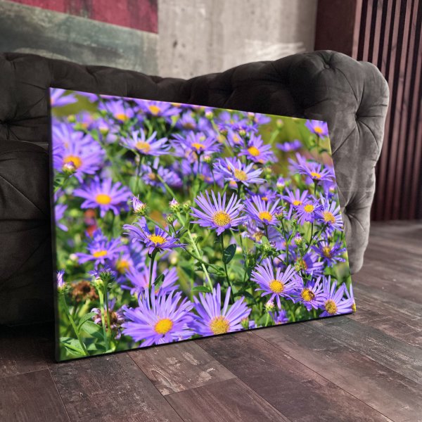 Сергей Дорофеев художник натюрморт