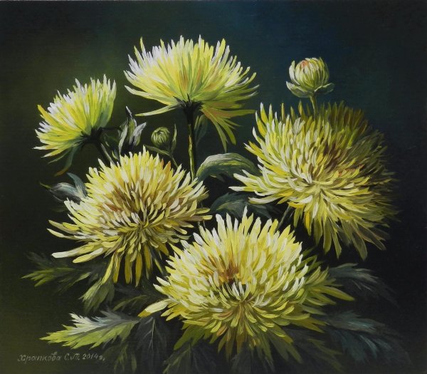 Астры Ренуар