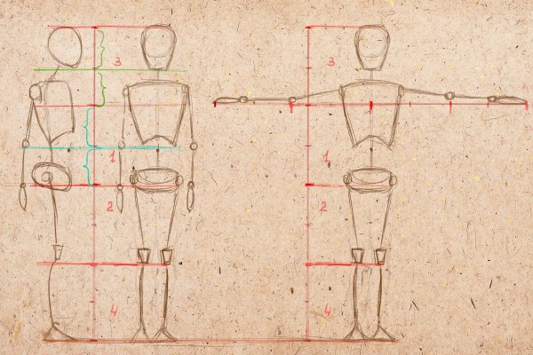 Пропорции тела человека референс