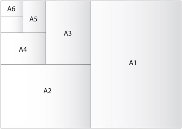 Пропорции лица вид спереди