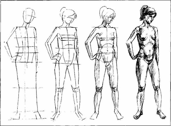 Человеческие пропорции референс