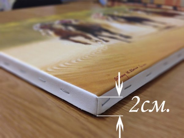 Холст ткань