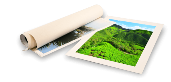 Натуральный холст для печати