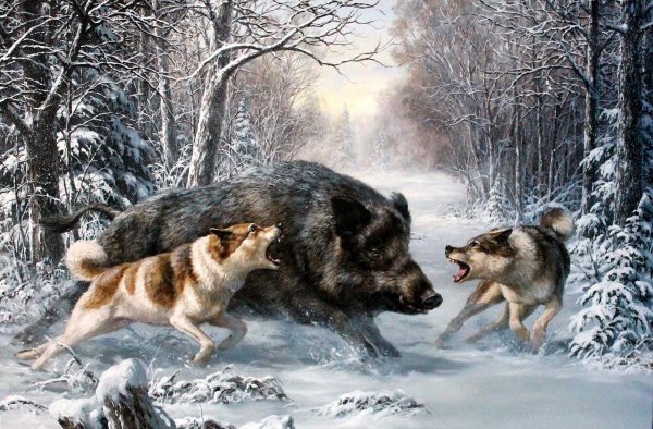 Удачный выстрел. Ричард Ансделл