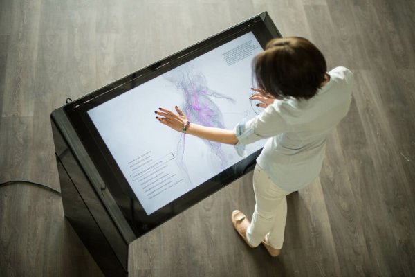 Интерактивное оборудование