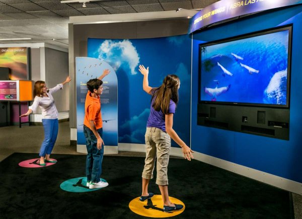 Сенсорный интерактивный монитор