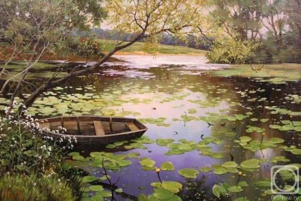 Холодовский Михаил Иванович река с кувшинками