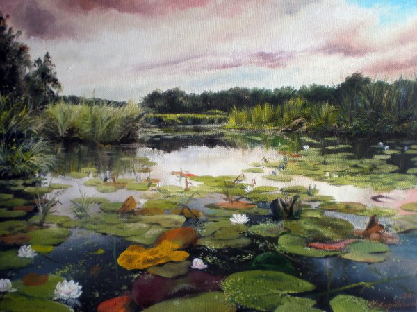 Художник Холодовский Михаил водяные лилии