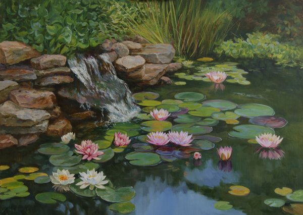 Прудик Аптекарский кувшинки