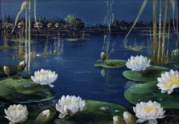 Жизель Ненюфары