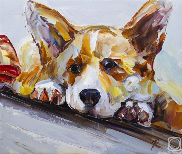 Картина вельш корги