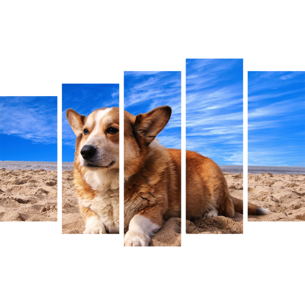 Картины корги пемброк