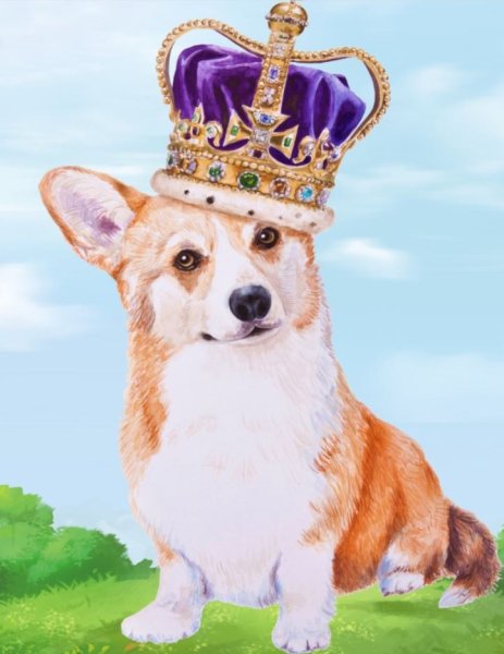 Картина по номерам корги