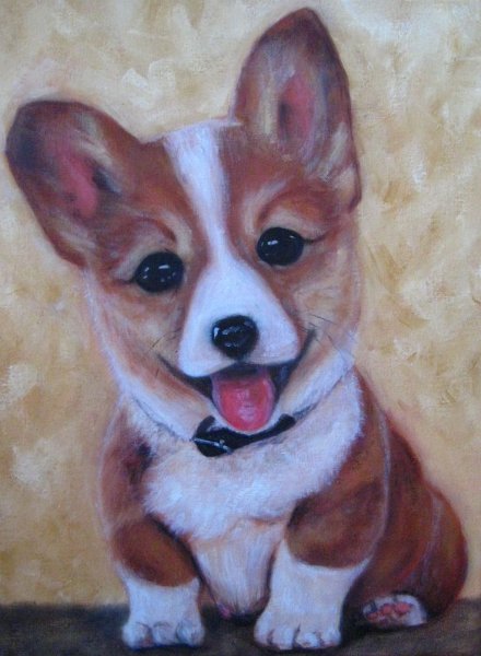 Картина по номерам вельш-корги