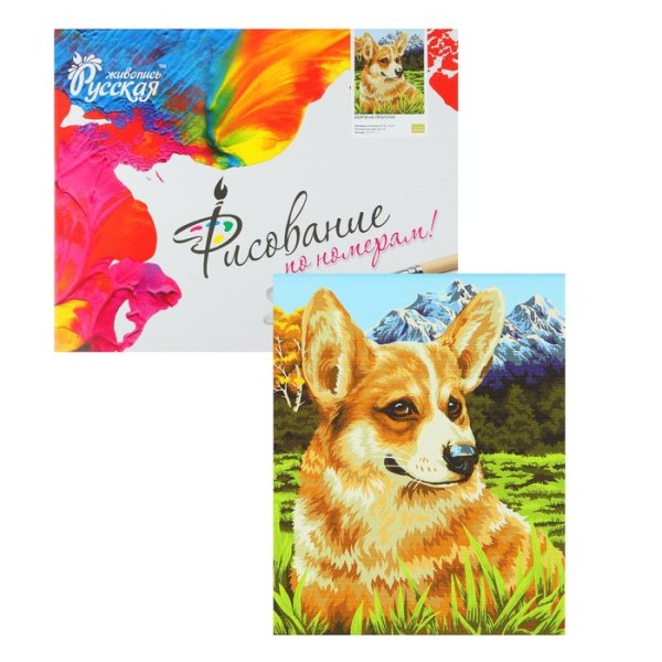 Рисование по номерам корги
