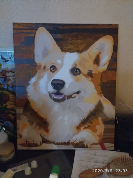 Корги гуашью