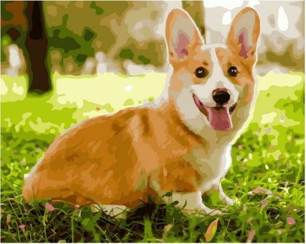 Плакаты с корги