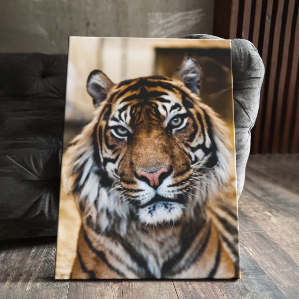 "Амур, стреляющий из лука" Карла Ванлоо