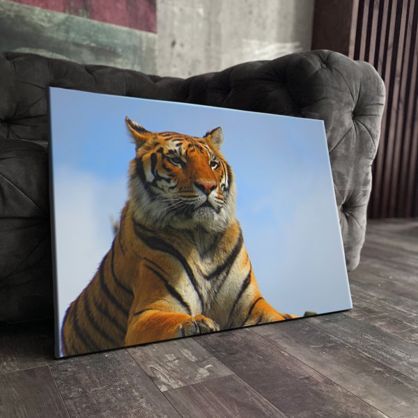 Уильям бугро Амур и Психея