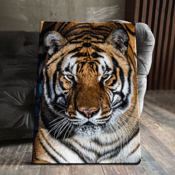 Рафаэль Санти Купидоны