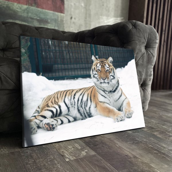 Амур стреляющий из лука Карл Ванлоо в Павловском Дворце