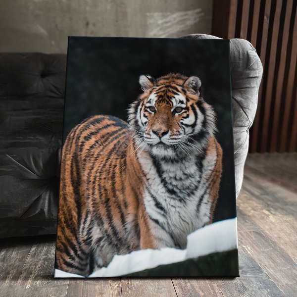 Картина по номерам Амурский тигр