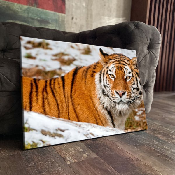 Борис Филиппович Морозов художник картины