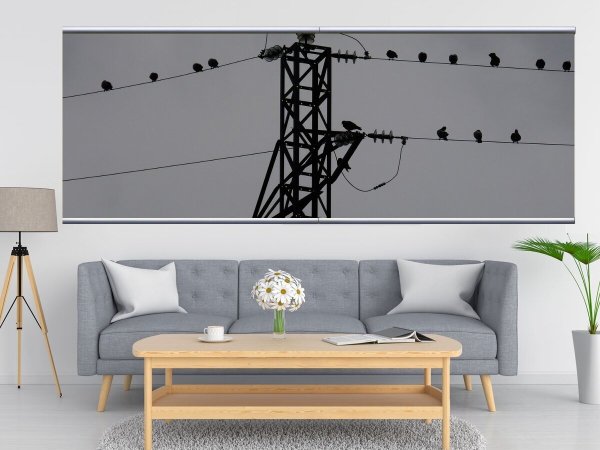 Пустой холст