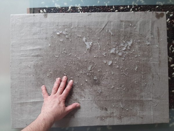 Мастер реставратор мебели