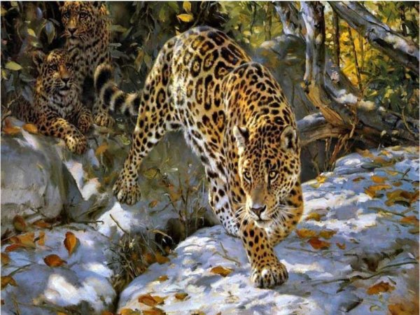 Алмазная мозаика "леопард", 40х50см. S 609