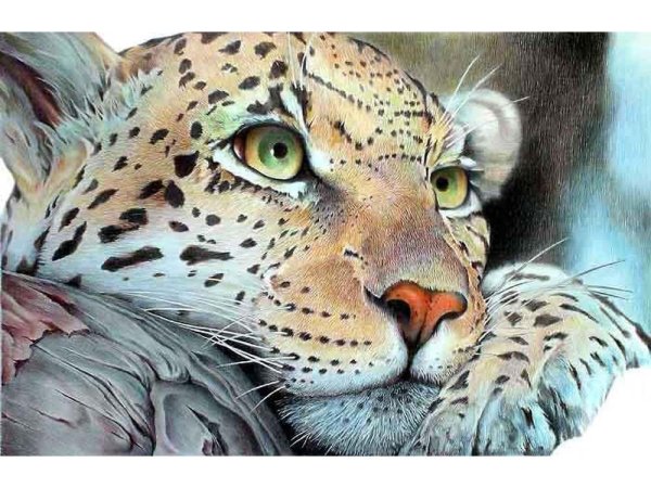 Леопард на холсте