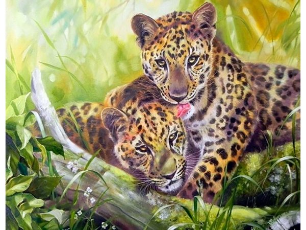 Картина по номерам леопард