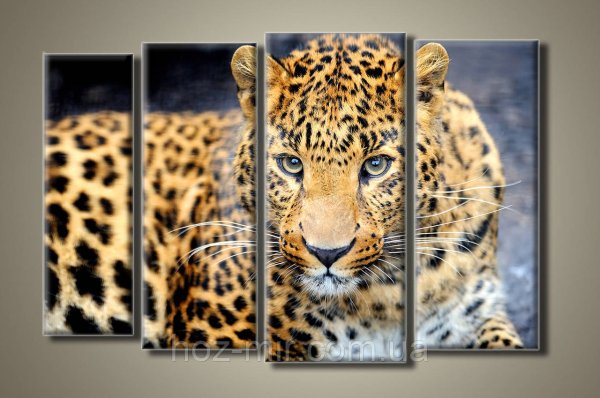Модульная картина гепард