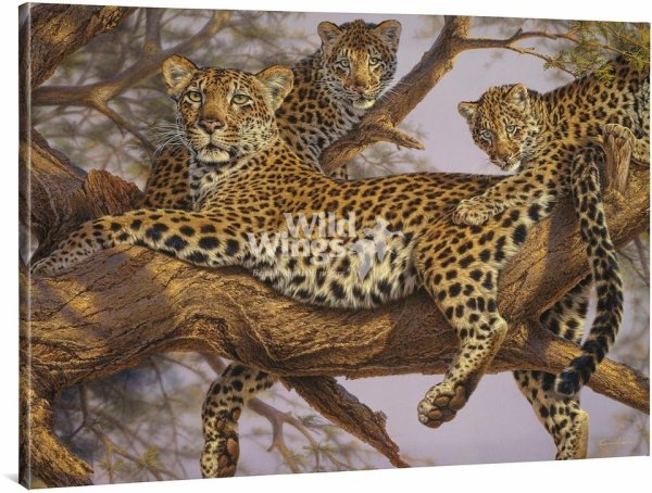 Художник Lee Kromschroeder