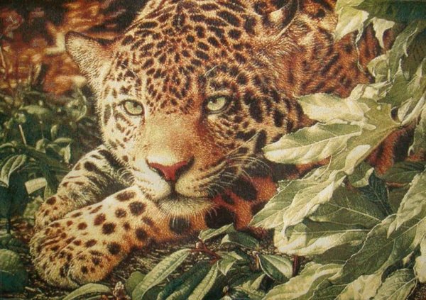 Вышивка крестом джунглей леопардах