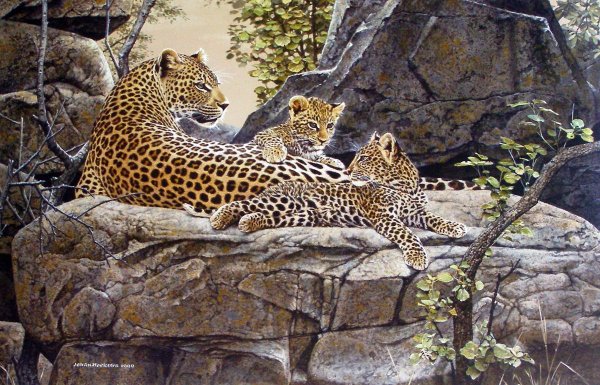 Переднеазиатский леопард арт