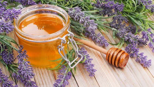 Пчела живопись