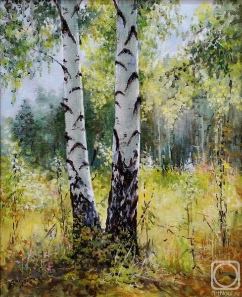 Декоративная береза