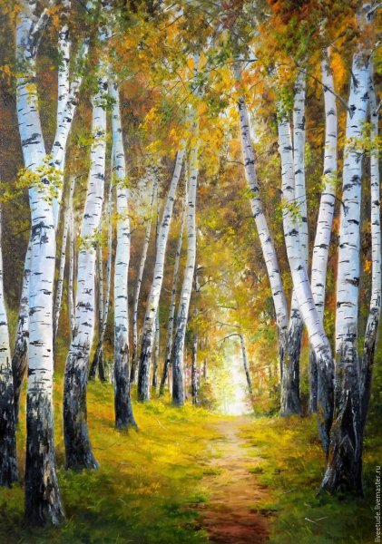 Берёзовая аллея картина