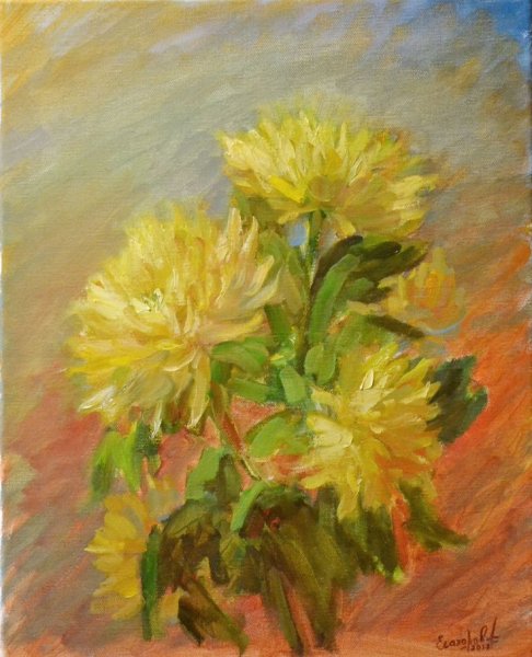 Желтые хризантемы мастихином
