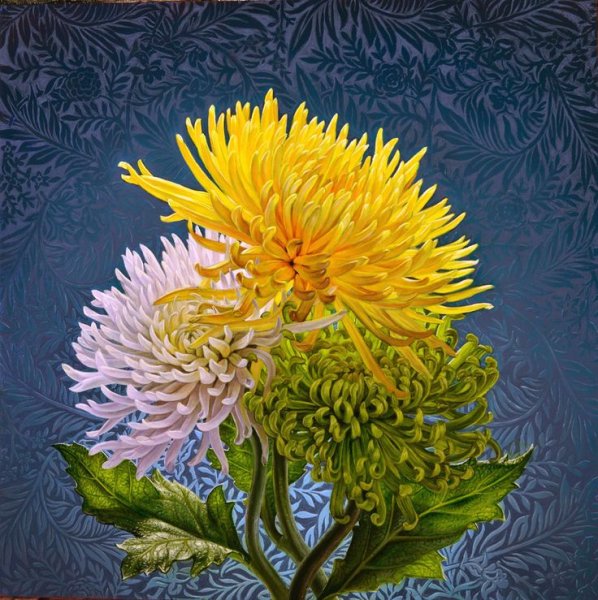 Эрик верт хризантемы